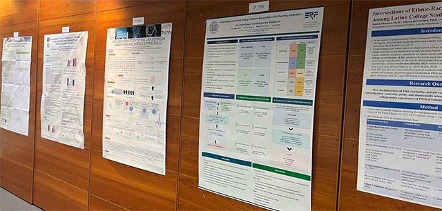 inpact poster prezentacija