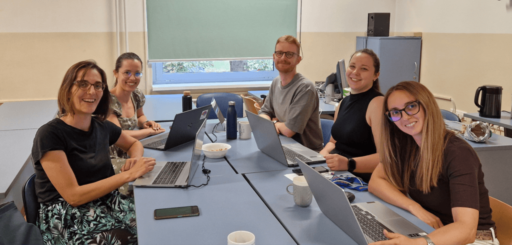 Second Full-Day Working Meeting of the DigipiS Project Research Team